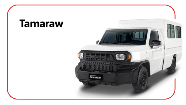 Tamaraw