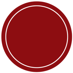 Scarlet SE Swatch