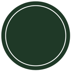 Greenish Gun Metal