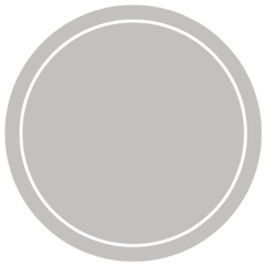 Silver Metallic